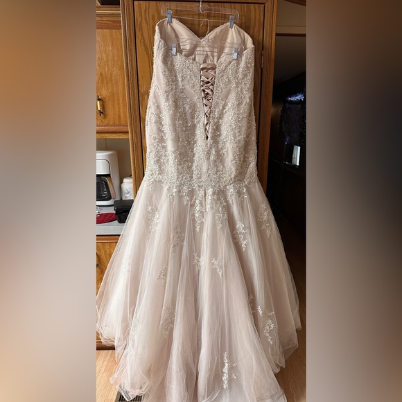 Champagne colored Mermaid style Essence of Australia wedding dress - Picture 5 of 7